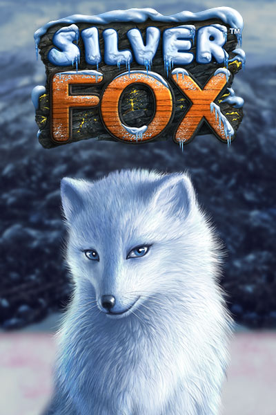 Silver Fox